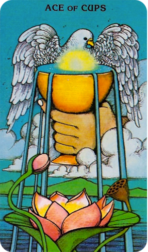 Ace of Cups