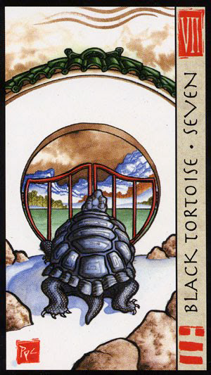 Black Tortoise Seven