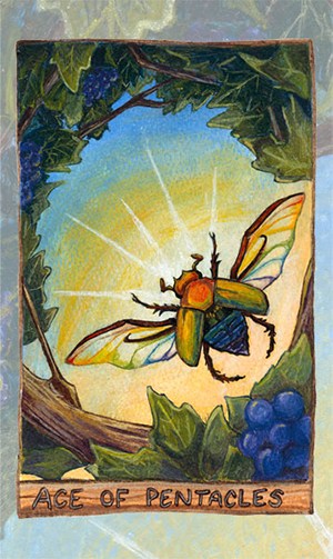 Ace of Pentacles