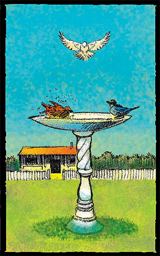 ace of cups