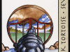 Black Tortoise Seven