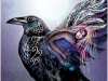 crow
