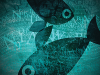 Pisces