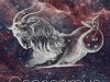 Capricorn